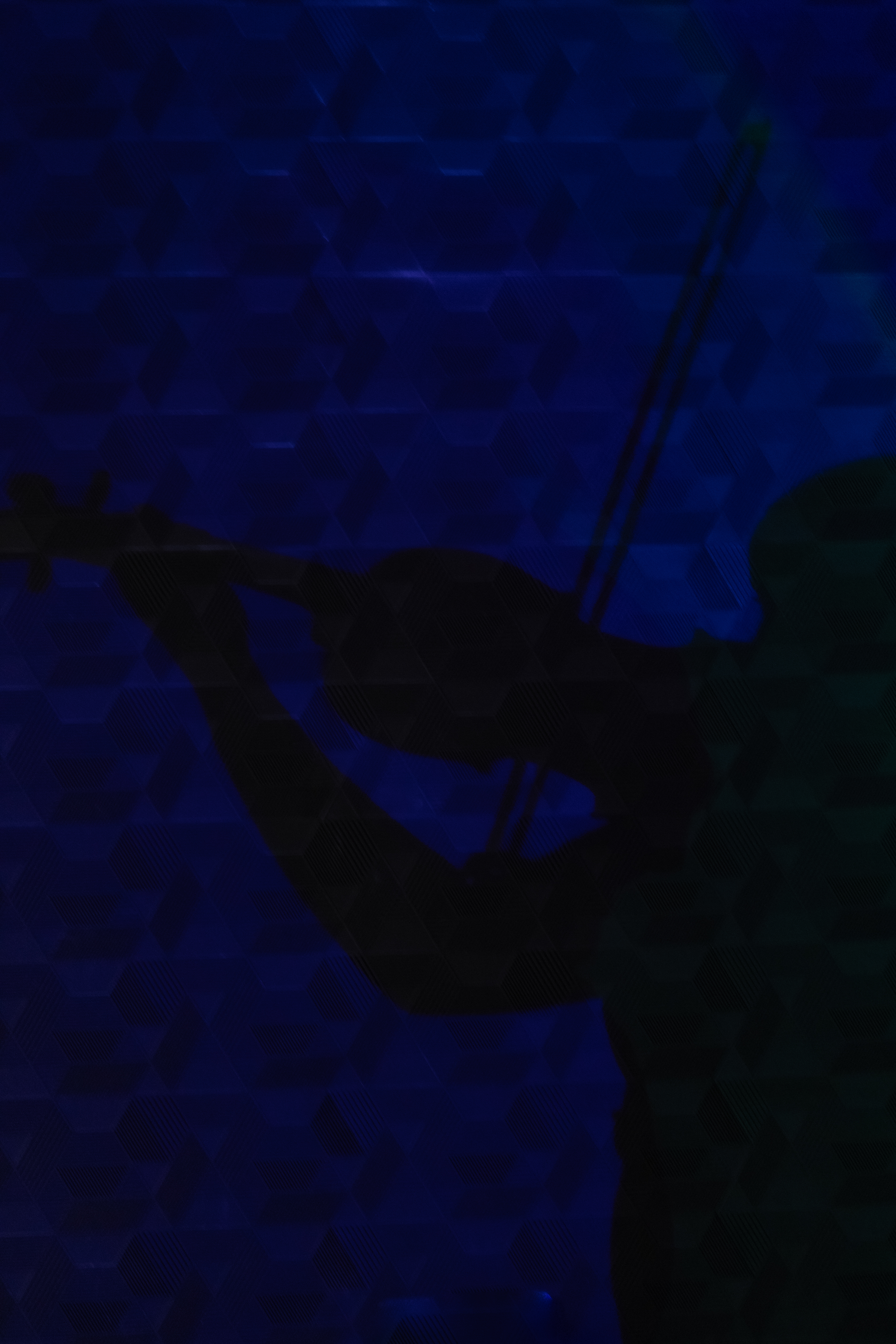 Sombras com a viola de arco 2
